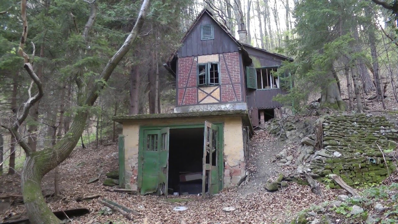 Elhagyatott kunyh&oacute; az erdőben (Abandoned small hut in the forest)