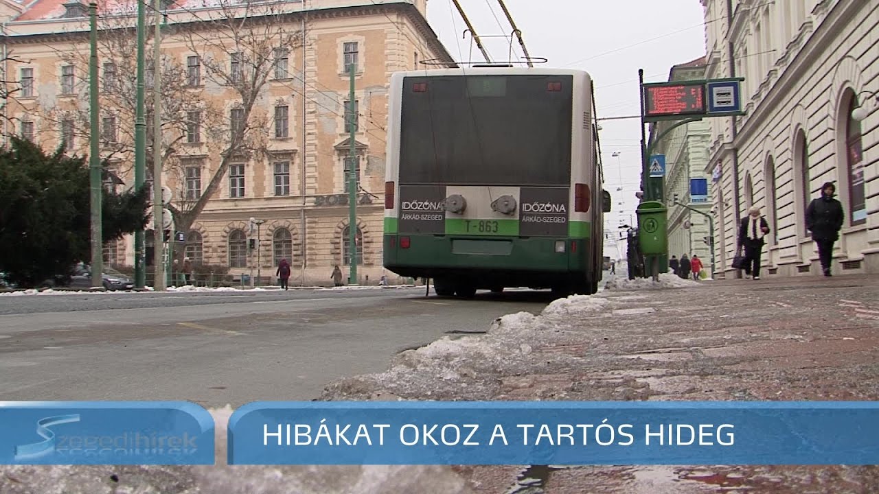 Szegedi Hírek Károkat okoz a tartós hideg 2017.01.27.