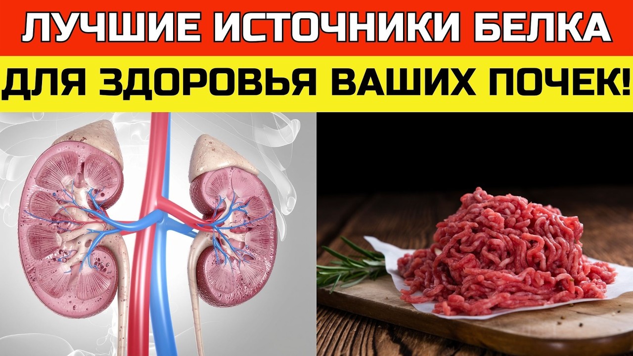 Топ-9 лучших источников белка для людей с заболеваниями почек | ЗДОРОВЬЕ ПОСЛЕ 50