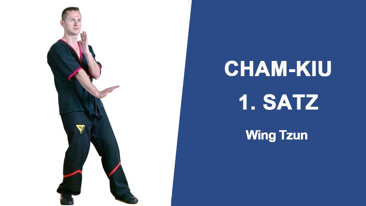 1. Satz Cham-Kiu zweite Wing-Tzun Form lernen mit Sifu Sergej in Mannheim Heidelberg Ludwigshafen.