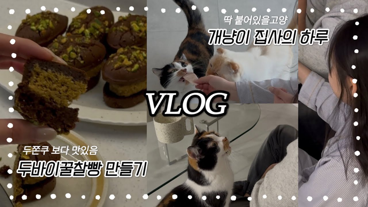 25살이 된 직장인의 본업은 고양이 집사 / 홈베이킹 두바이찰꿀빵 만들기, 예비쀼 커플의 신년계획 세우기