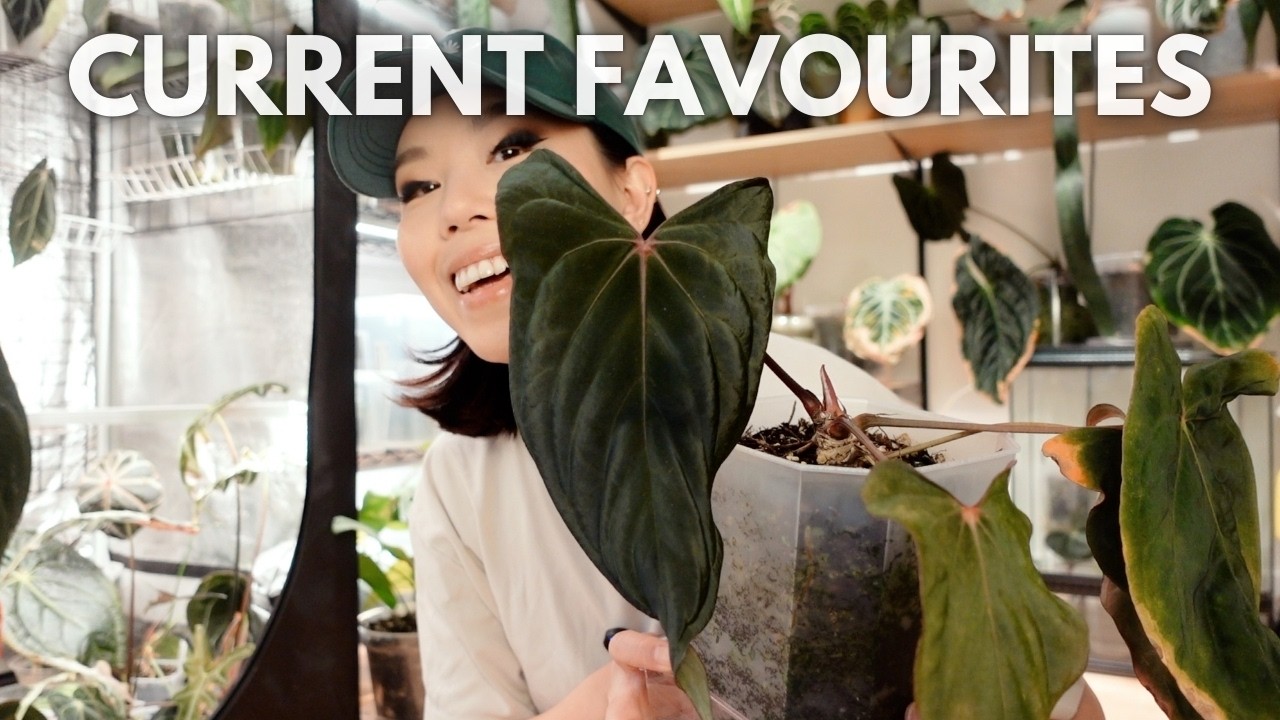Plants I'm currently loving + a few growth updates