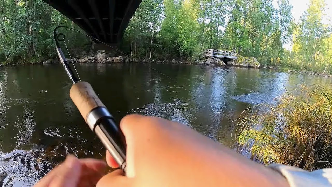 Yön yli reissu Tainionvirralle