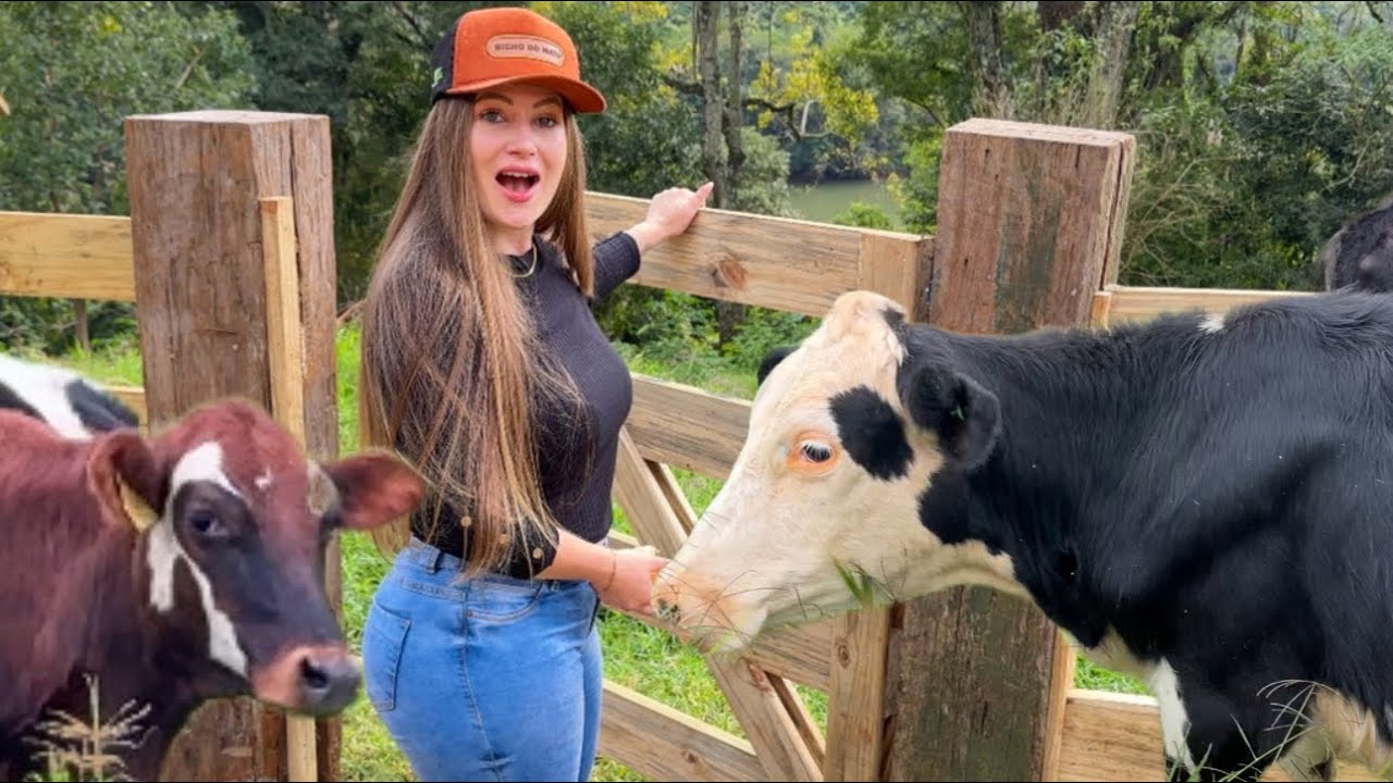 DESEMBARQUE DAS VACAS NO PASTO - COMPRA DO GADO CONQUISTA PARA NOSSA VIDA NA ROÇA!