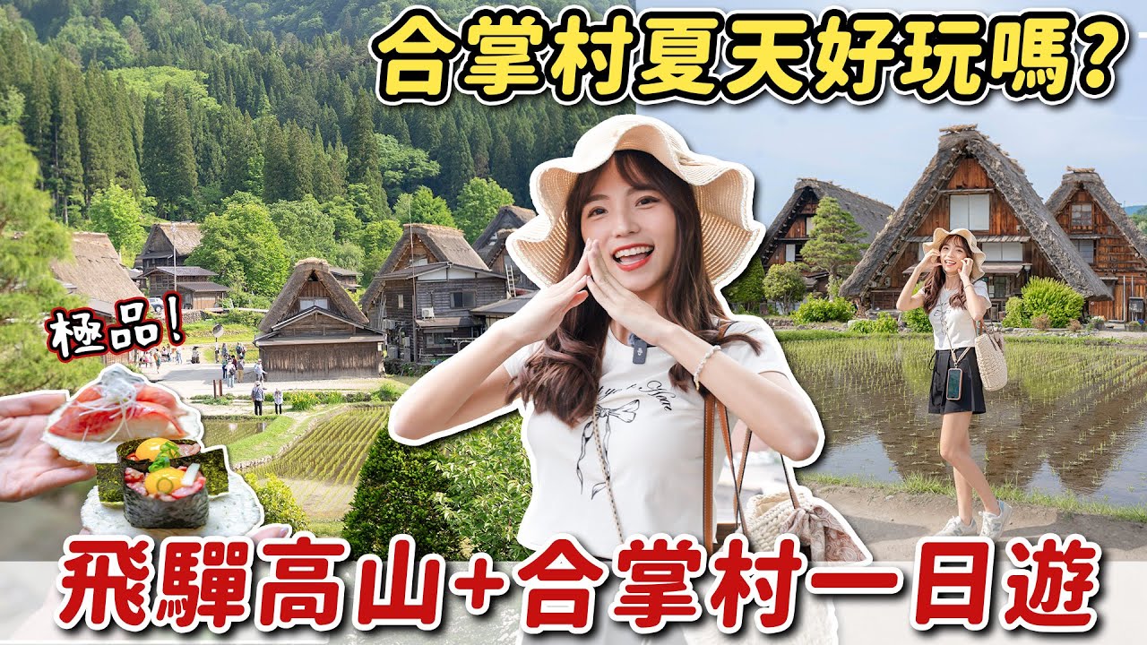 日本一日團！夏天的合掌村好玩嗎？走進童話世界、漫遊飛驒高山老街，兩大景點、多項小吃一次收集~｜Haven在日本