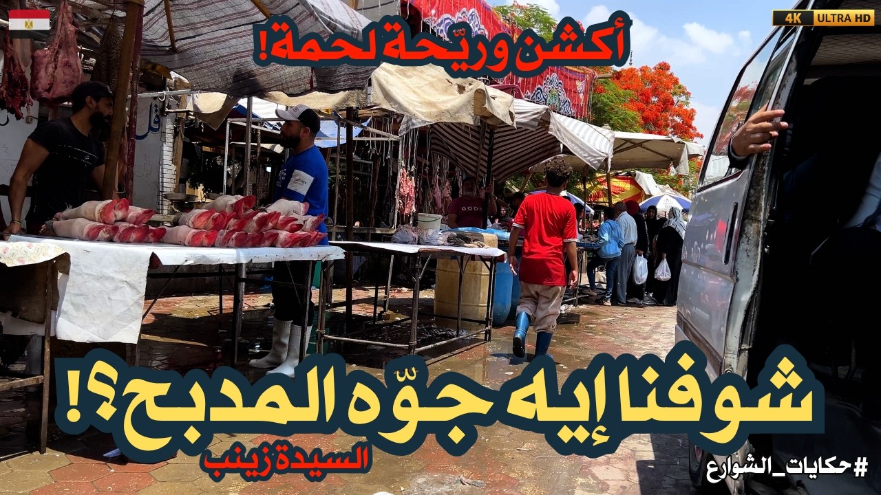 جولة نارية داخل المدبح فى السيدة زينب قبل عيد الأضحى|من قلب الحدث|خرفان، جزارين، وأسعار خيالية!