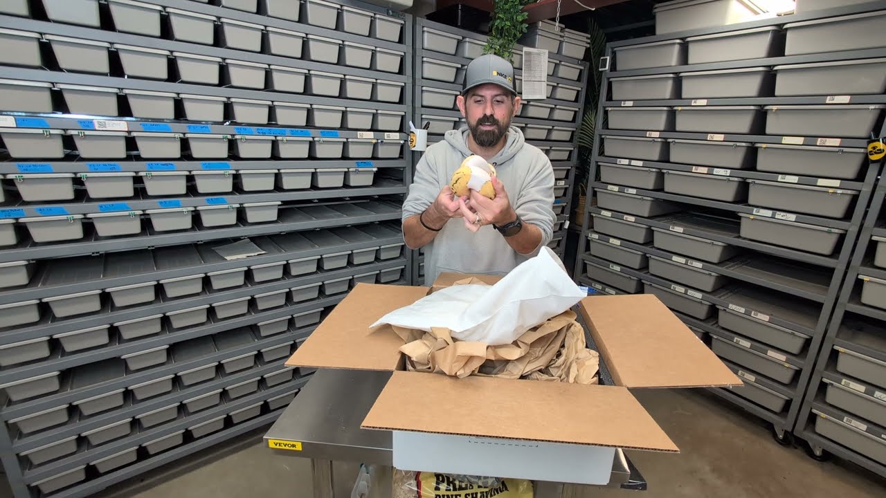 My New Business Partner is a SNAKE?! This Ball Python Just Changed EVERYTHING! TSRR 130