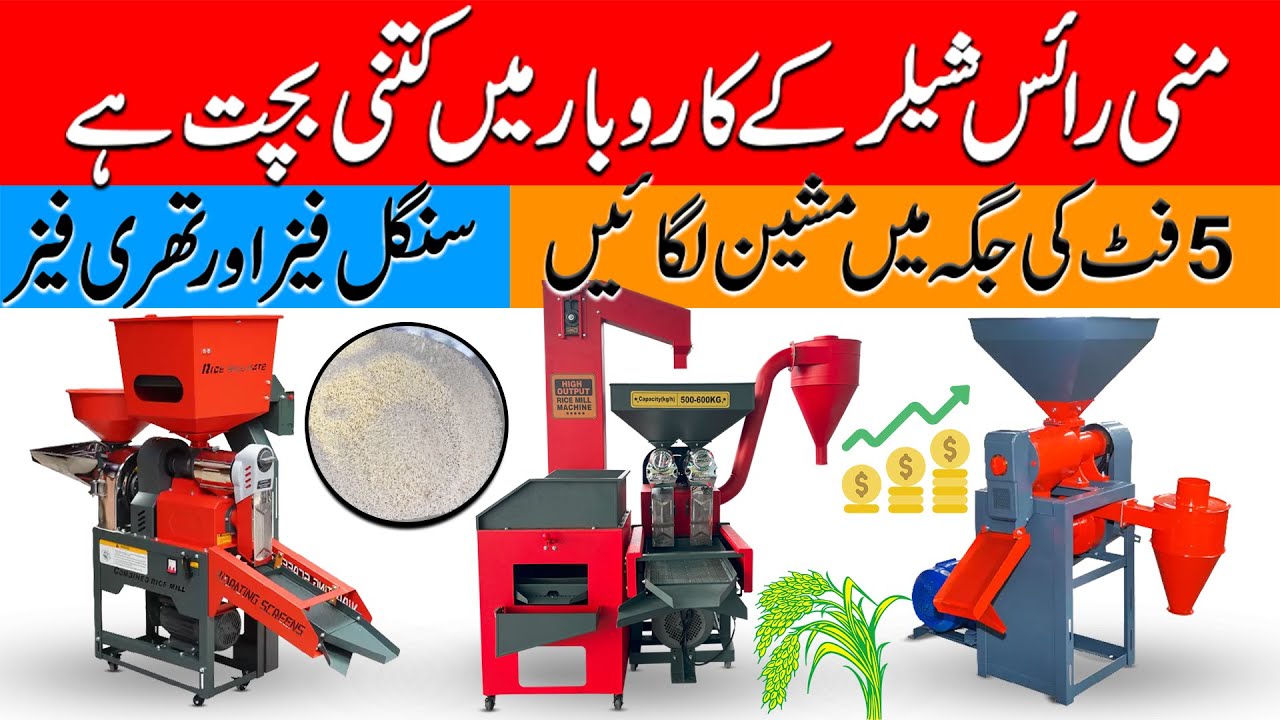New Rice Mill Machine | Mini Rice Sheller | Rice Mill Business 2024 | Rice Polisher Machine | #rice