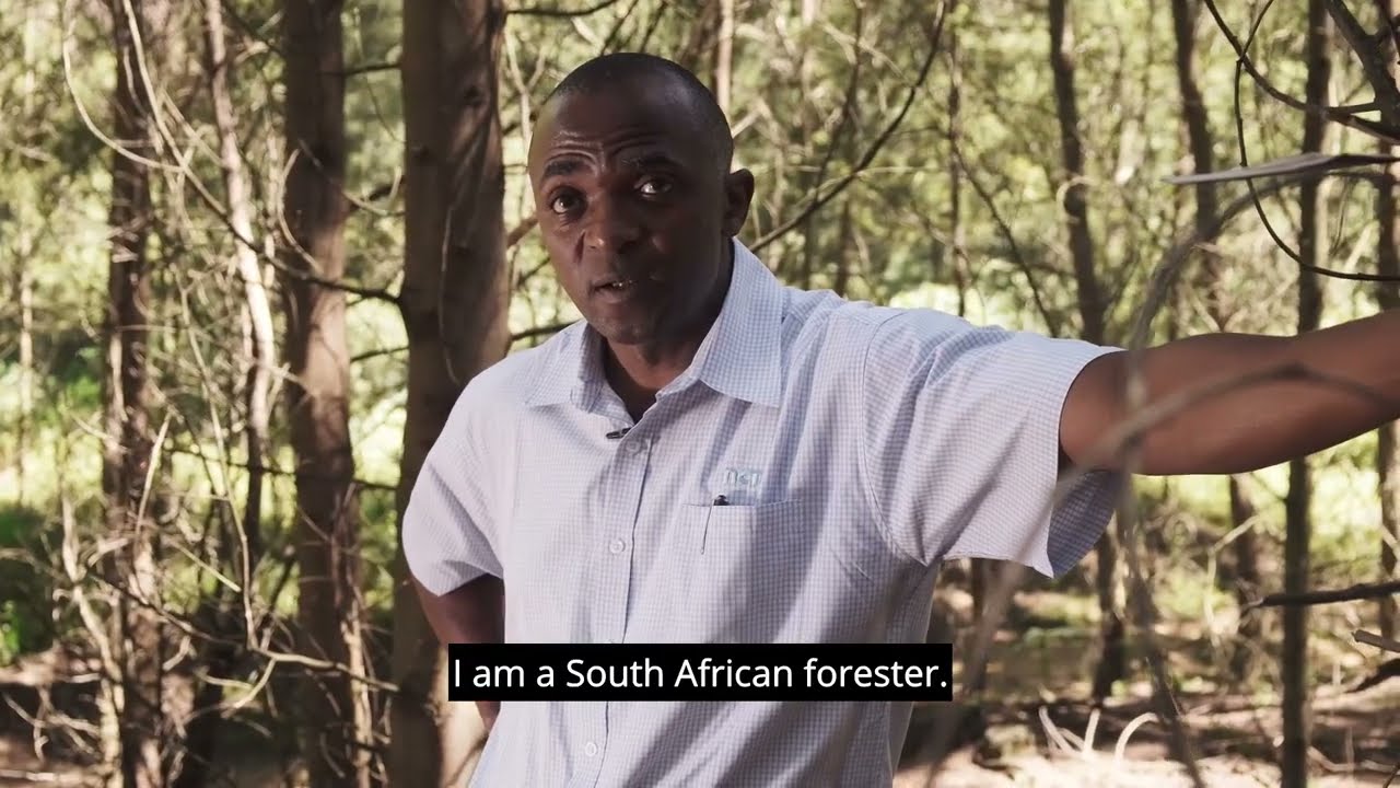 Forestry South Africa - A Greener Future