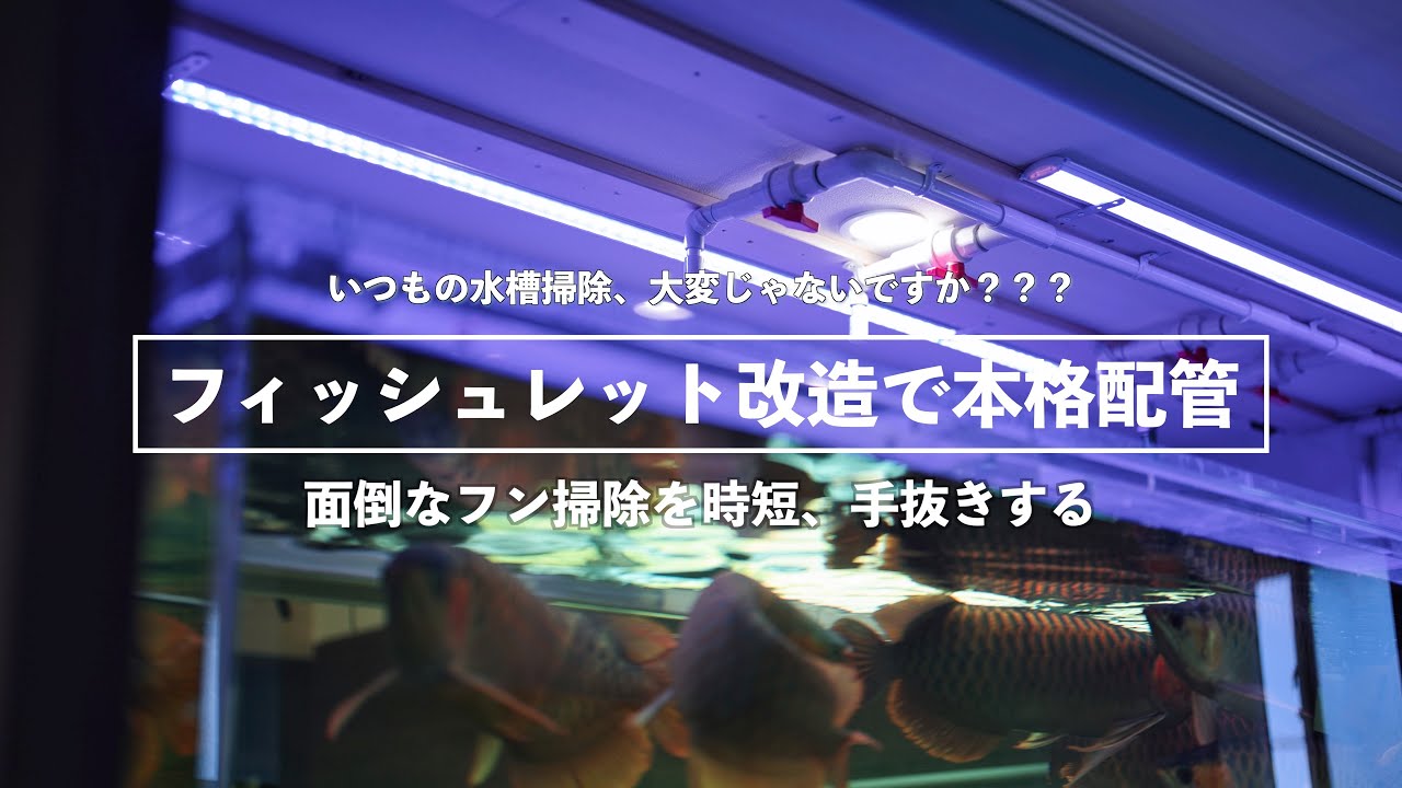 ［古代魚、大型魚飼育者向け］フィッシュレットを改造、配管　水槽掃除の時短テク
