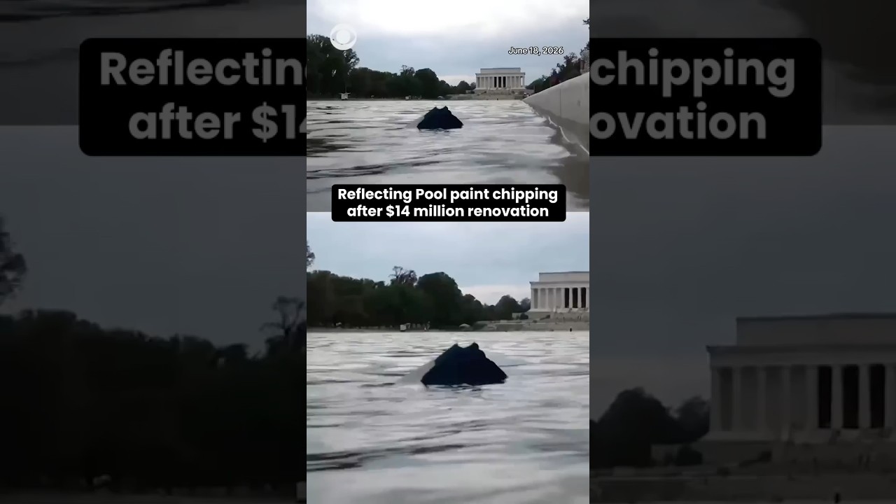 Reflecting Pool paint chipping after $14 million renovation #shorts