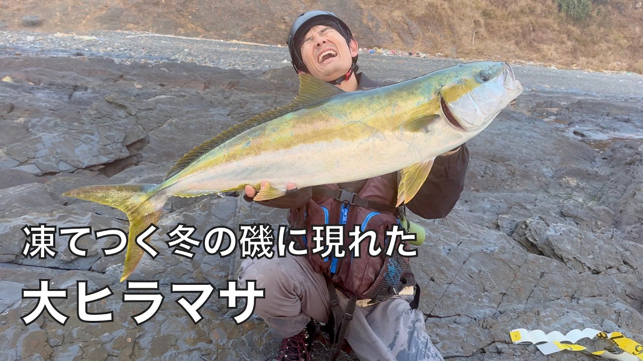 釣り歩いてようやく見つけた青物の大群！ついに念願の大ヒラマサを釣り上げた！！