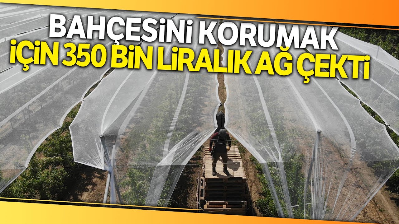 Bu Ağlar Balık İçin Değil, En Kaliteli Ürünleri Doludan Korumak İçin