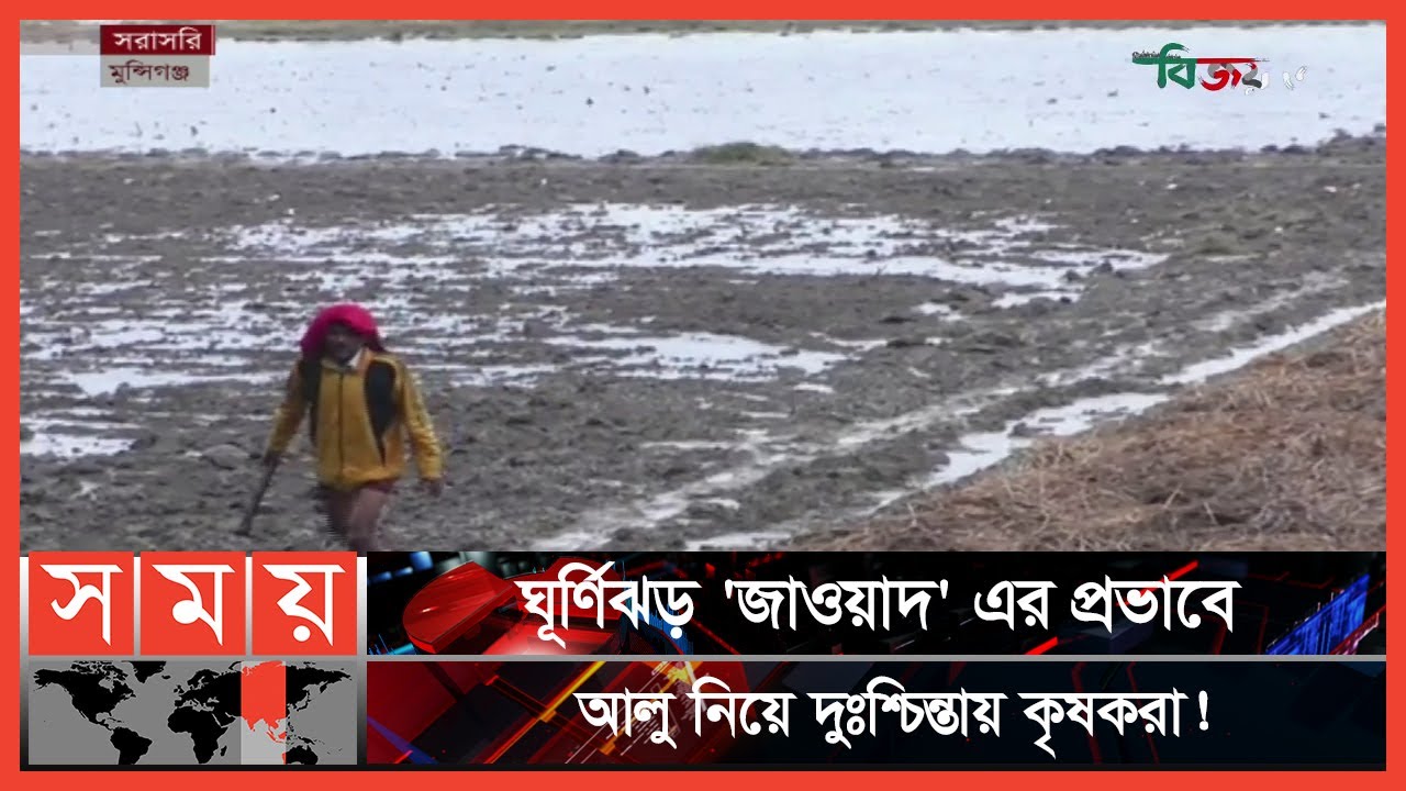 মুন্সিগঞ্জে ১৭ হাজারের বেশি জমিতে আলুর আবাদ! | Jawad Cyclone | Potato Cultivation | Munshiganj News