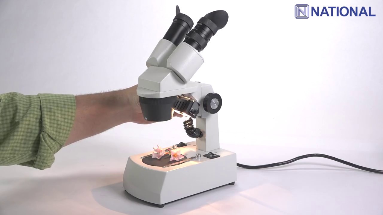 452 & 453: Compact Dual Mag. Stereo Microscopes