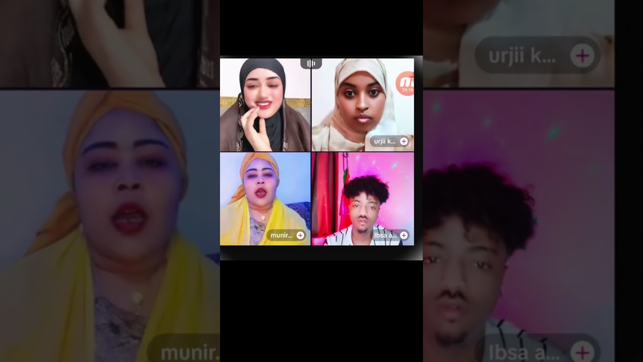 Jaalala Wardaa Noolee fi Ibsaa Abbaa jaalalaa jidduutti Muniiraan jara taphachiifte// #oromotiktok