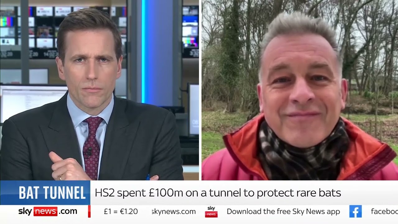 As HS2 spends £100m on a bat tunnel, Chris Packham blames the 