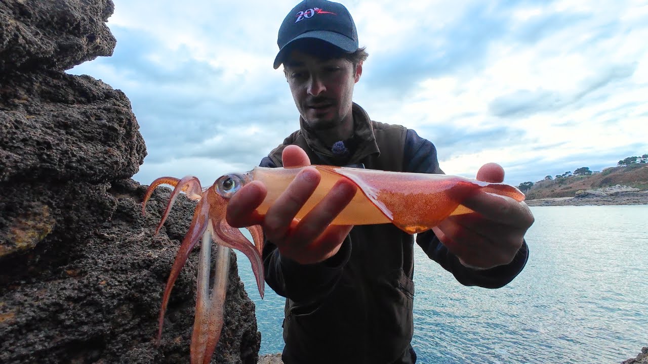 C’est reparti pour une session calamar ! 🦑 | Pêche du calamar du bord
