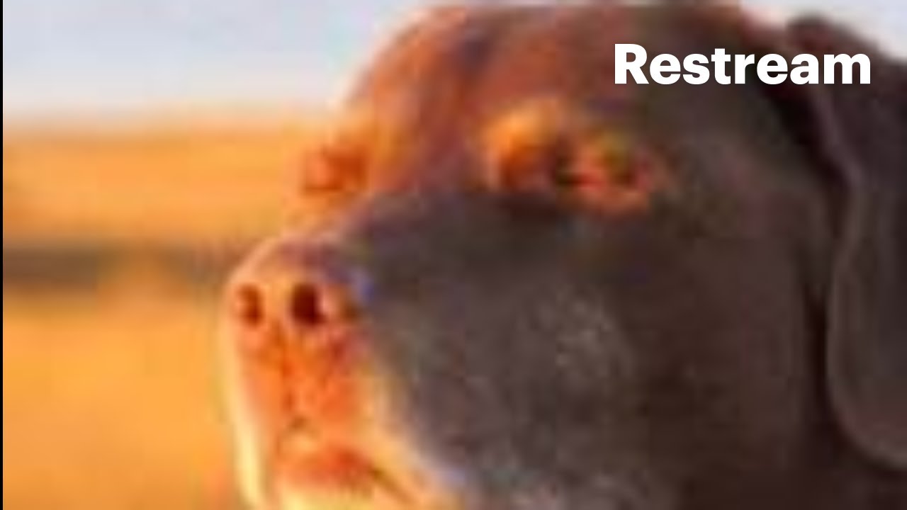 League of Legends Time for Ranked