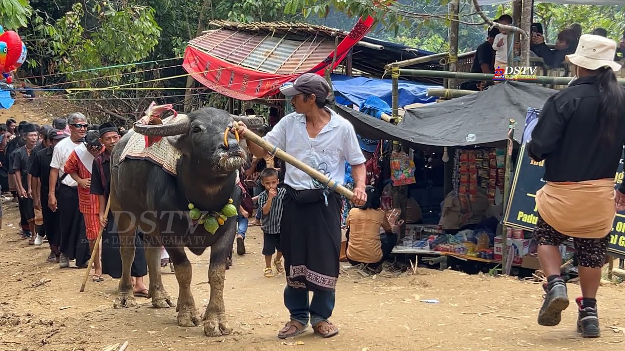 Almh, Esther Likupadang,SH di Bastem Utara Luwu part 1