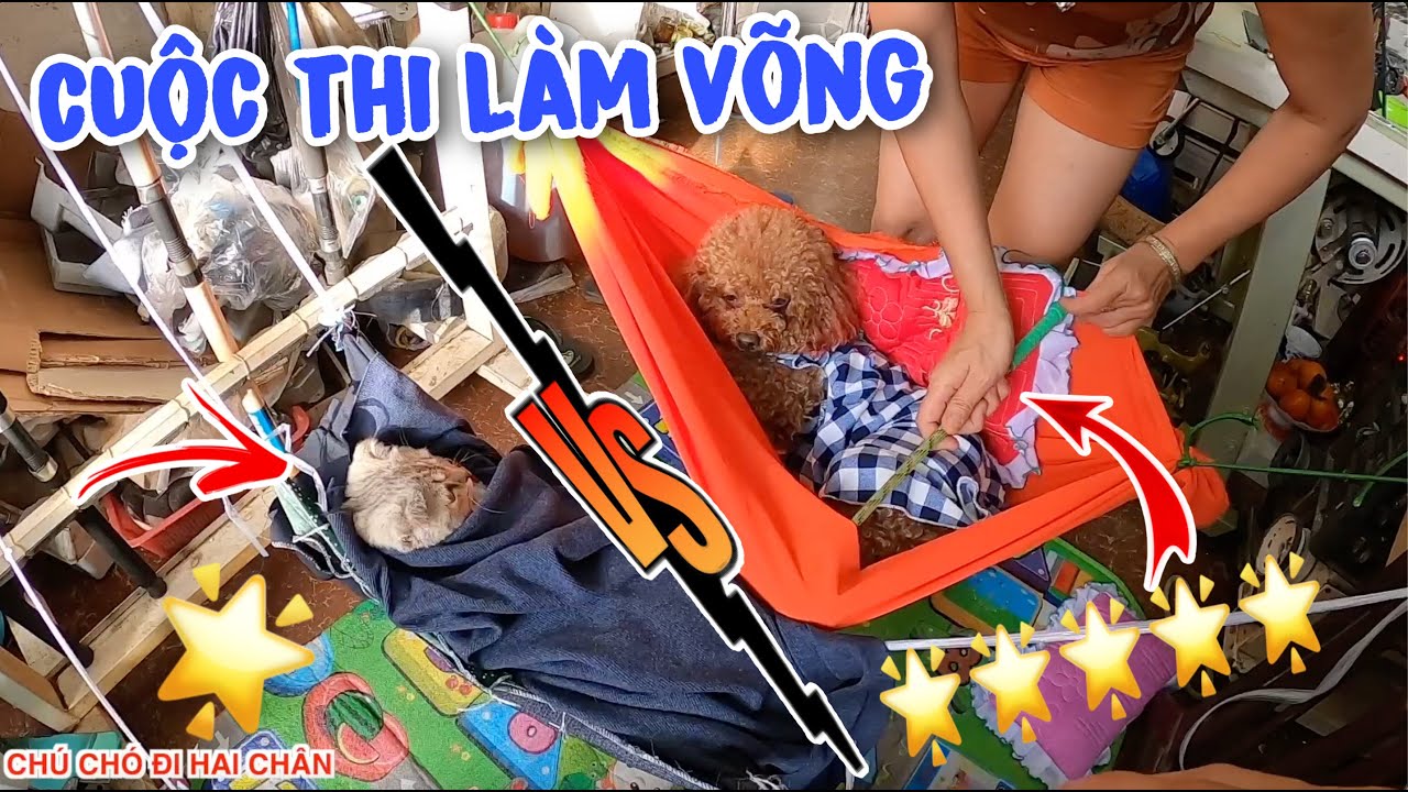 CHÚ CHÓ ĐI HAI CHÂN | CUỘC THI NGƯỜI LÀM VÕNG GIỎI NHẤT CHO SU XÍ XỌN - BÔNG BÉ BỎNG - MIU MŨM MĨM