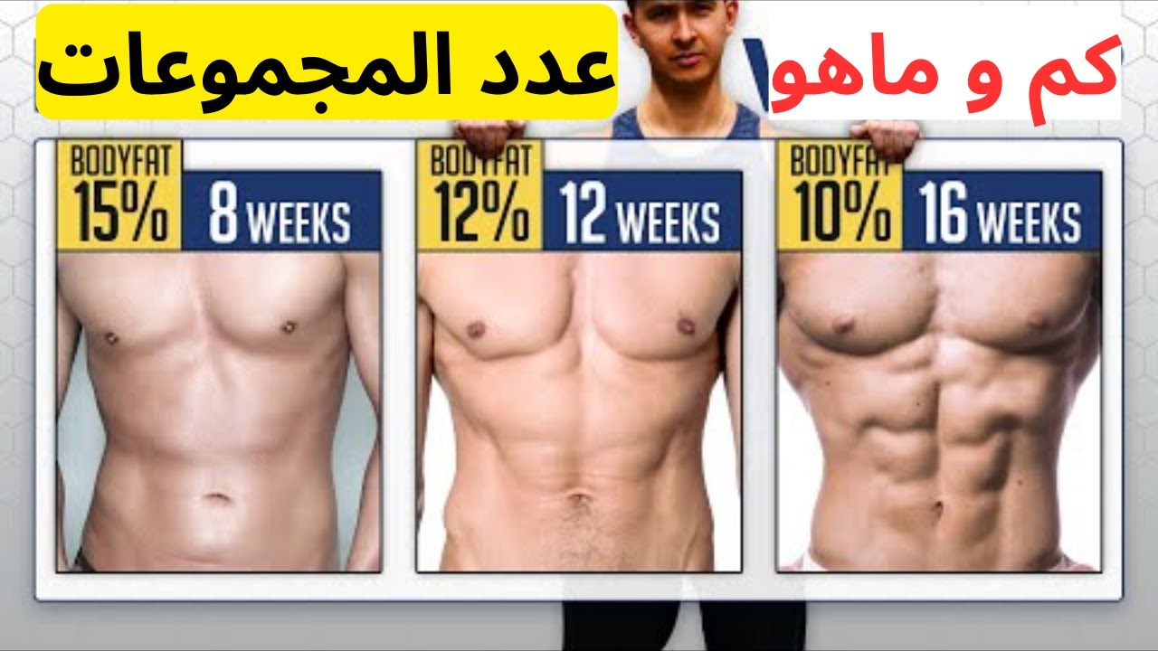المجموعات التدريبية وأهميتها في تضخيم و تقسيم العضلات