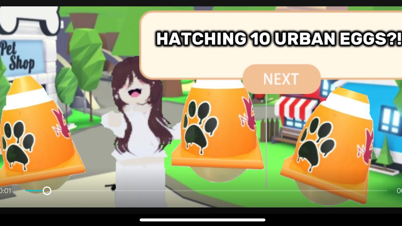 HATCHING 10 URBAN EGGSSSSSSSSS