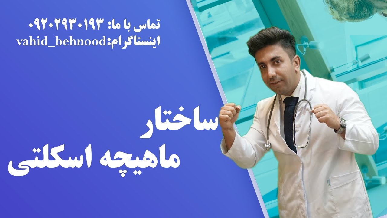 دکتر وحید بهنود(ساختار ماهیچه اسکلتی)