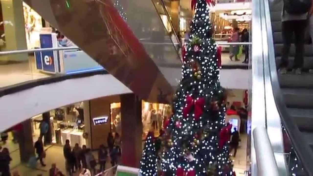 Navidad, una historia eterna / FlashMob