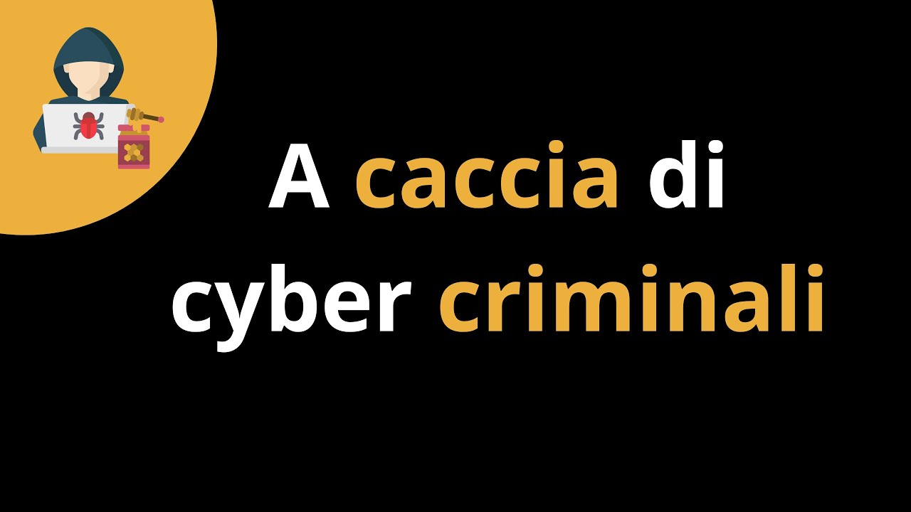A CACCIA DI CYBER CRIMINALI