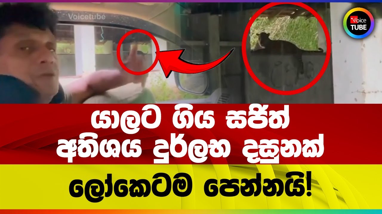 යාලට ගිය සජිත් අතිශය දුර්ලභ දසුනක් ලෝකෙටම පෙන්නයි! | Sajith Premadasa