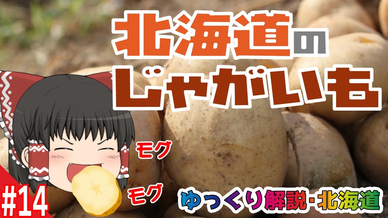 【ゆっくり解説】北海道ってジャガイモ何種類も売ってるの？ジャガイモは品種で使い分ける時代です！