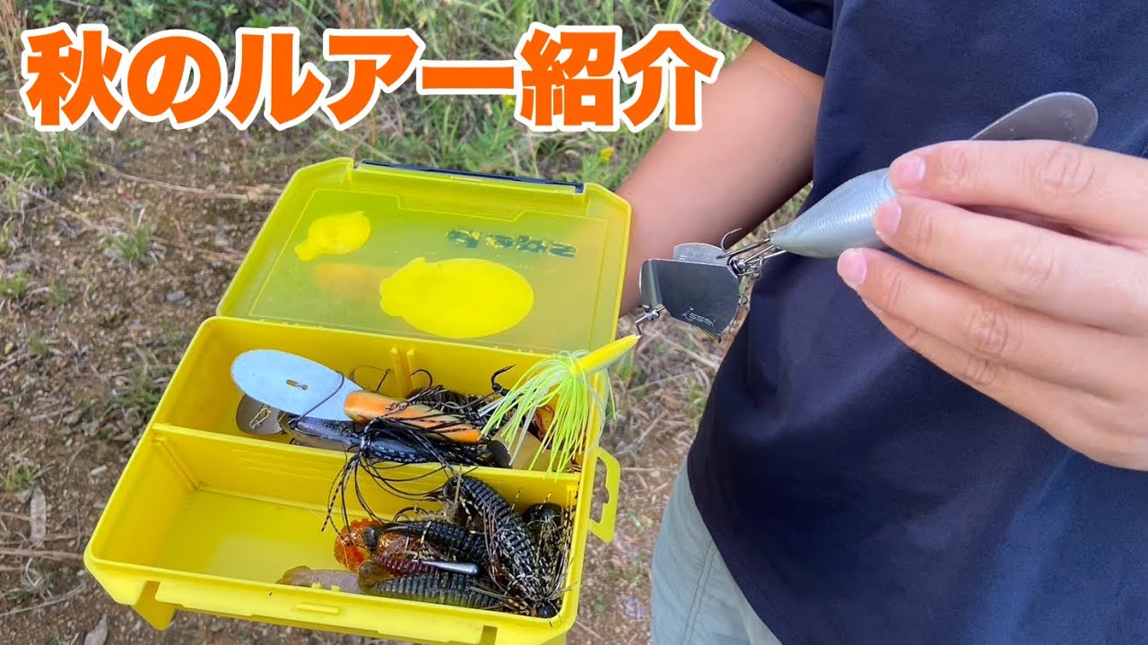 秋はこのルアー達！とココ最近のオススメルアーの紹介