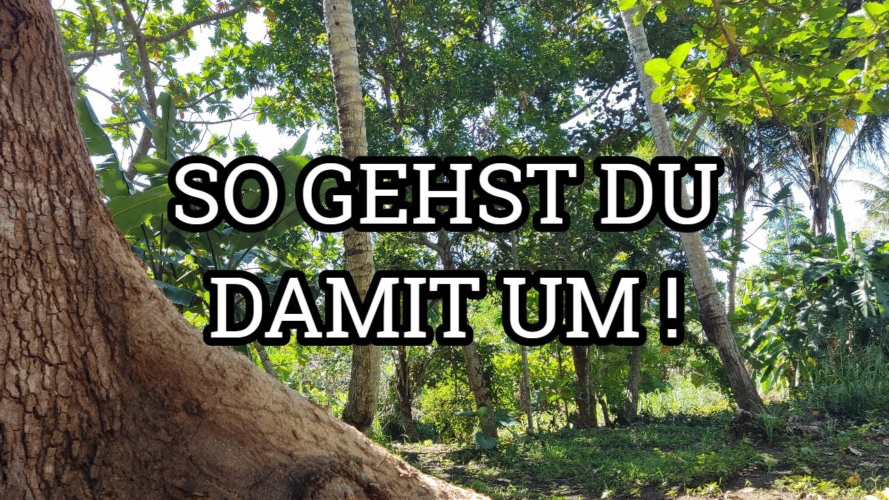 Bist Du immer noch wie besessen von einem Narzissten ?! [ Gedankenkarussell stoppen ]