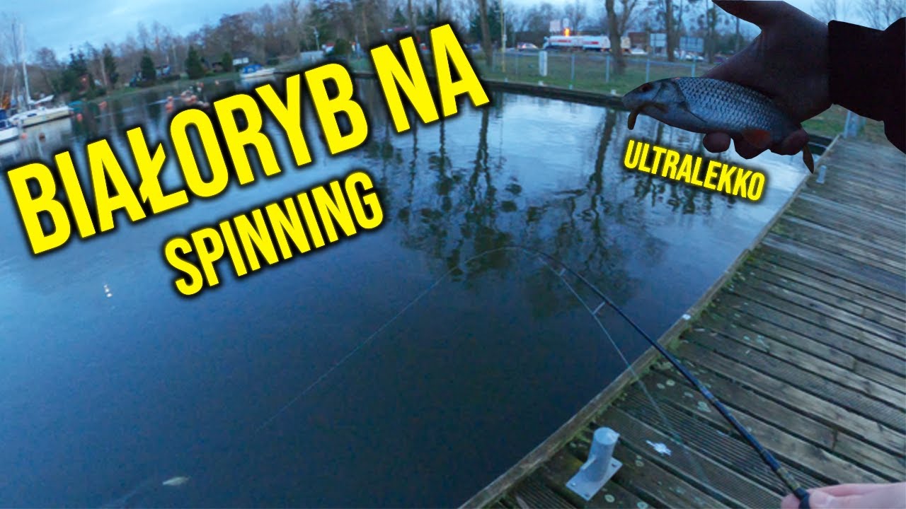 BIAŁORYB NA SPINNING | ŁOWIENIE NA ULTRALIGHTA | #vlog25