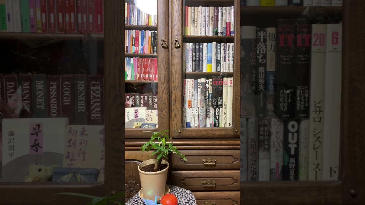 『夢ぞ見し』藤沢周平作              朗読🥰あずきバァバ