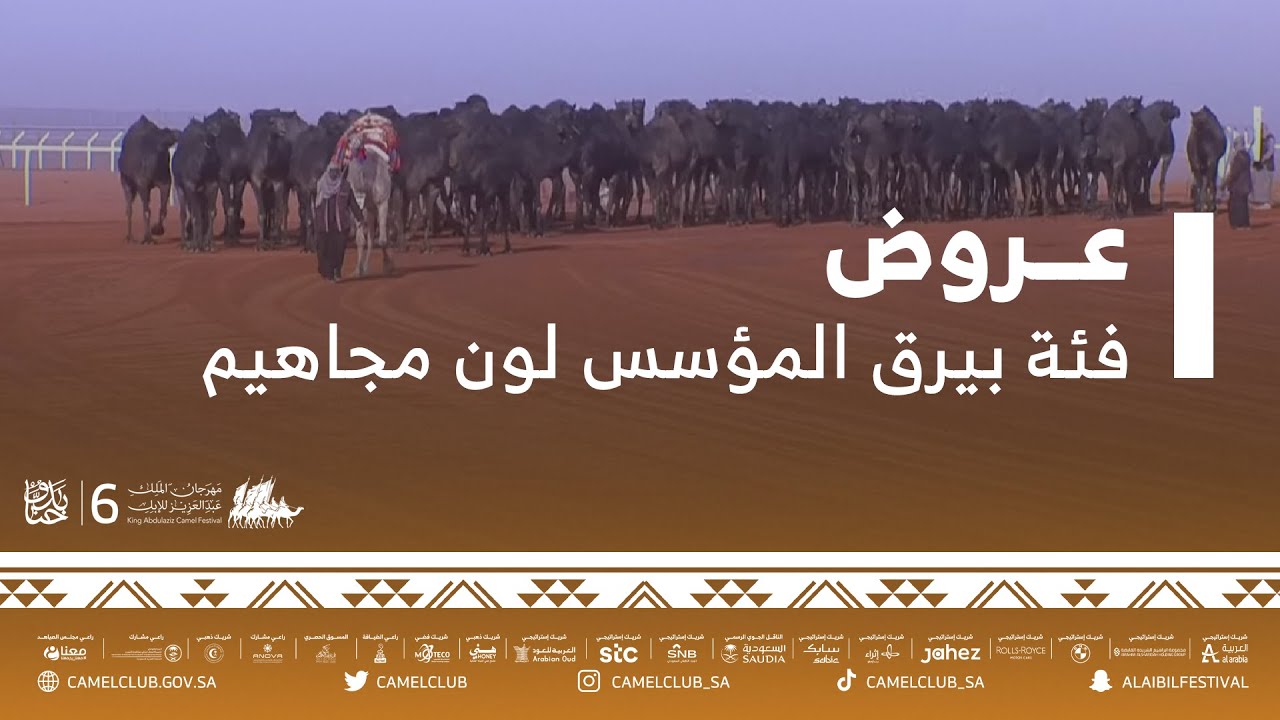 📹جانب من عروض فئة بيرق المؤسس (مجاهيم) يوم الجمعة ٢/ديسمبر/٢٠٢١