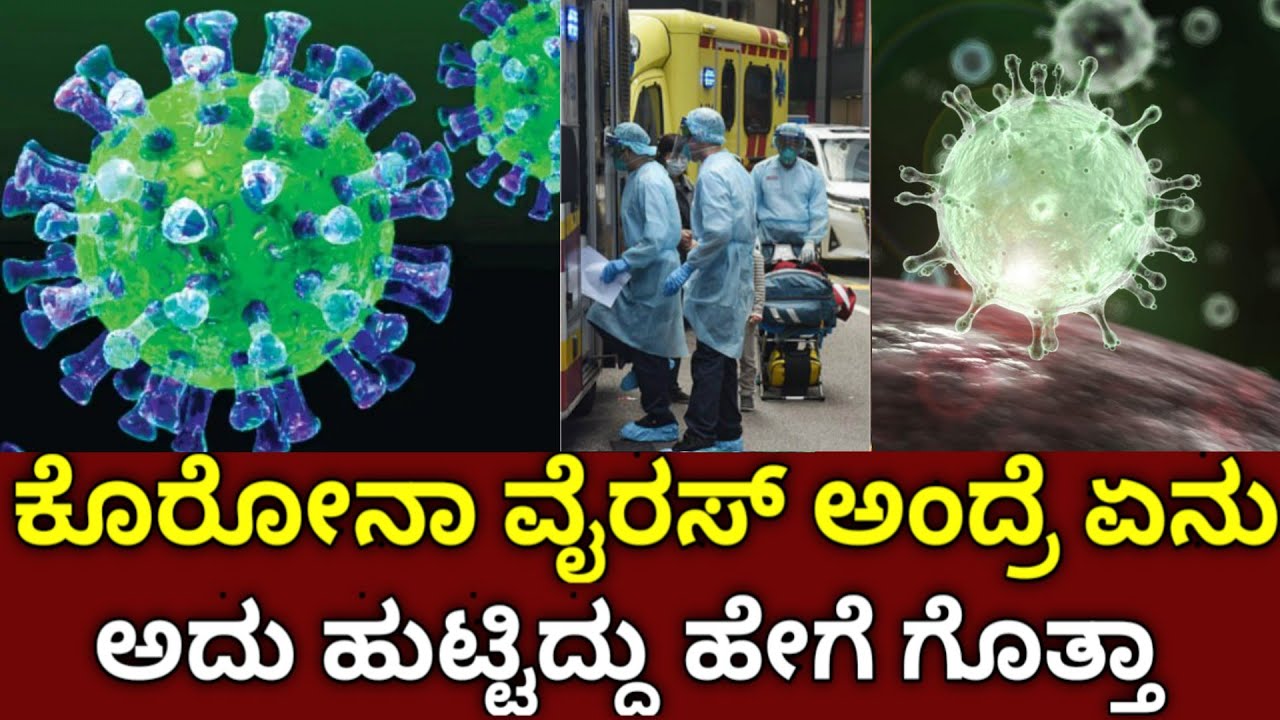 What is the Corona virus | corona viruses | corona ! the truth behind viruses