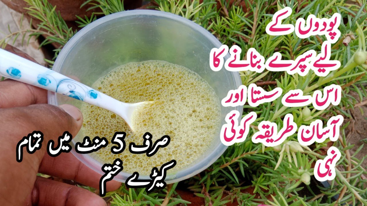Make organic pesticides only 5 minutes | podon k liye spray banayen free me .