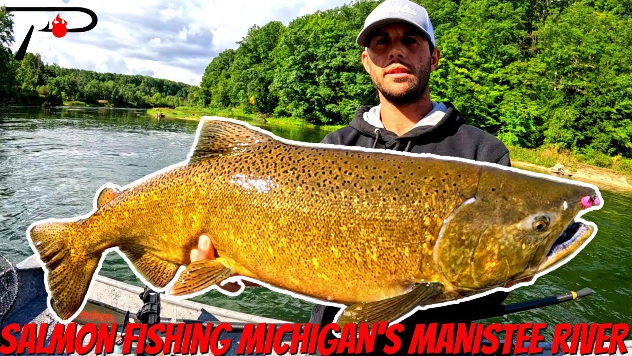 Salmon Fishing Michigan's Manistee River