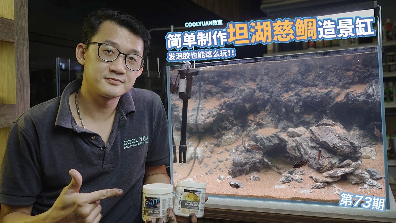 简单制作坦湖慈鲷造景缸发泡胶也能这么玩 ep73