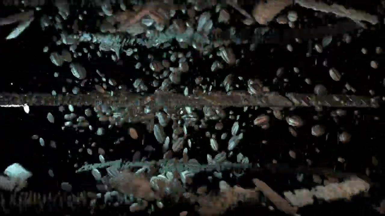 Sergio Avila - Reef