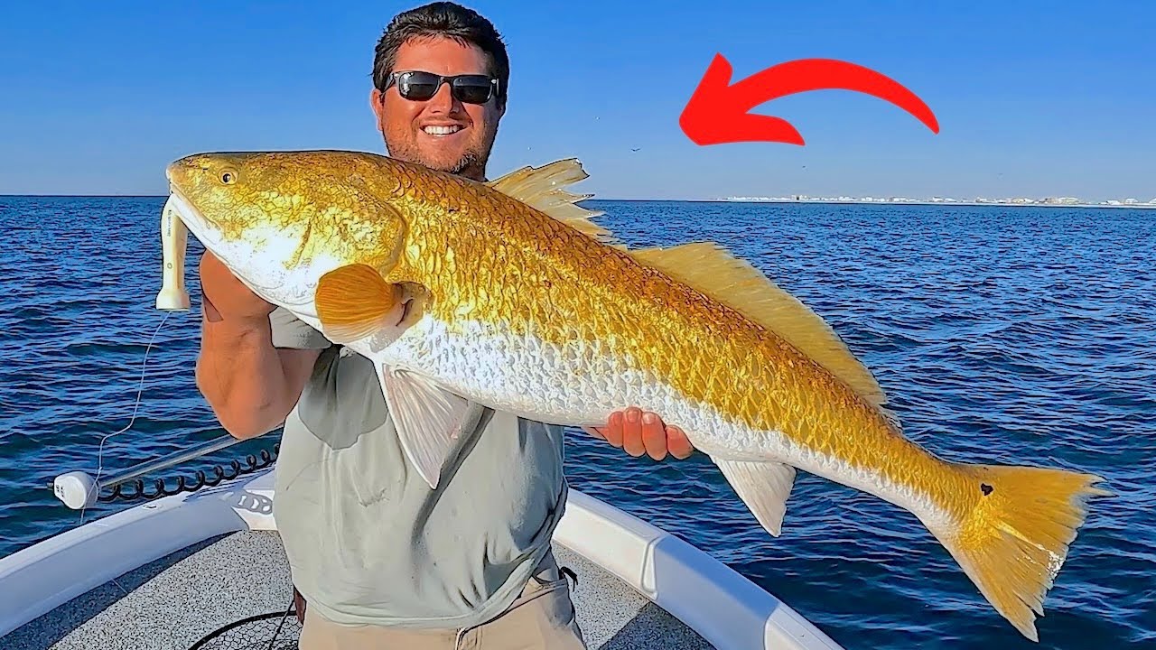 Fishing a Popper in the Gulf for Giant Bull Redfish! [EPIC Results]