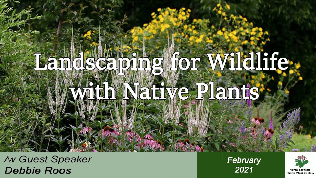 Landscaping for Wildlife with Native Plants with Debbie Roos