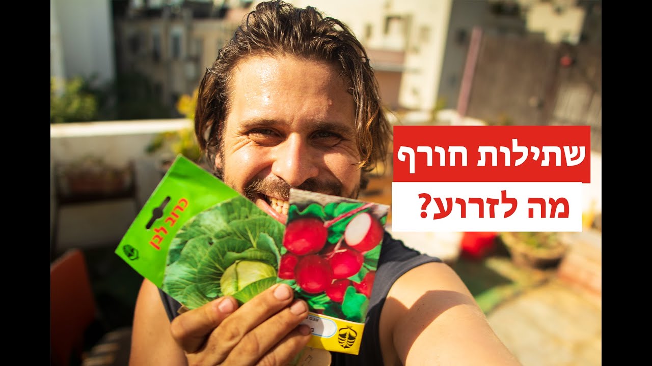 איזה ירקות זורעים לקראת החורף? (בגינה עם אוליבר הארנב)