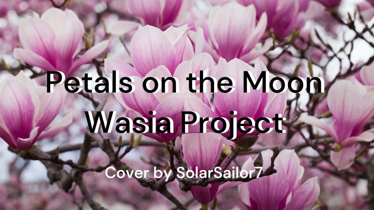 Petals on the Moon | Wasia Project Cover