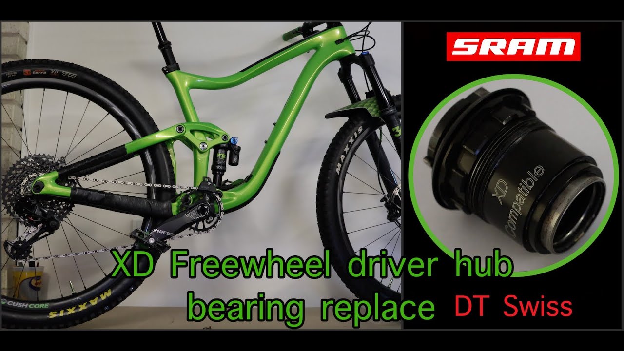 XD freewheel driver Bearing replacement SRAM Giant Reign Trance Pro 1 DT Swiss Hub MTB maintenance