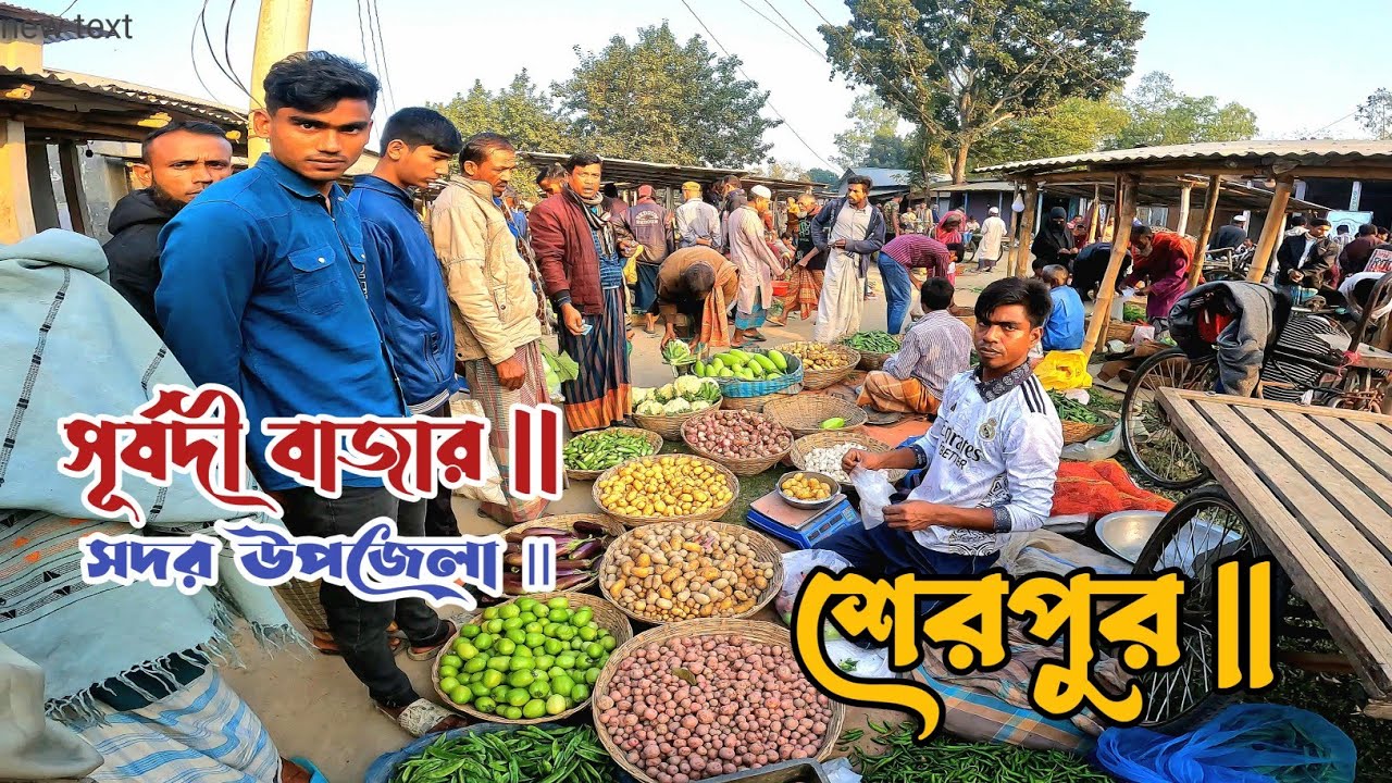 শেরপুরের অপরূপ সুন্দর গ্রামীণ হাট সূর্যদী বাজার || Sarjodi Bazar || Sador Upazila Sherpur ||