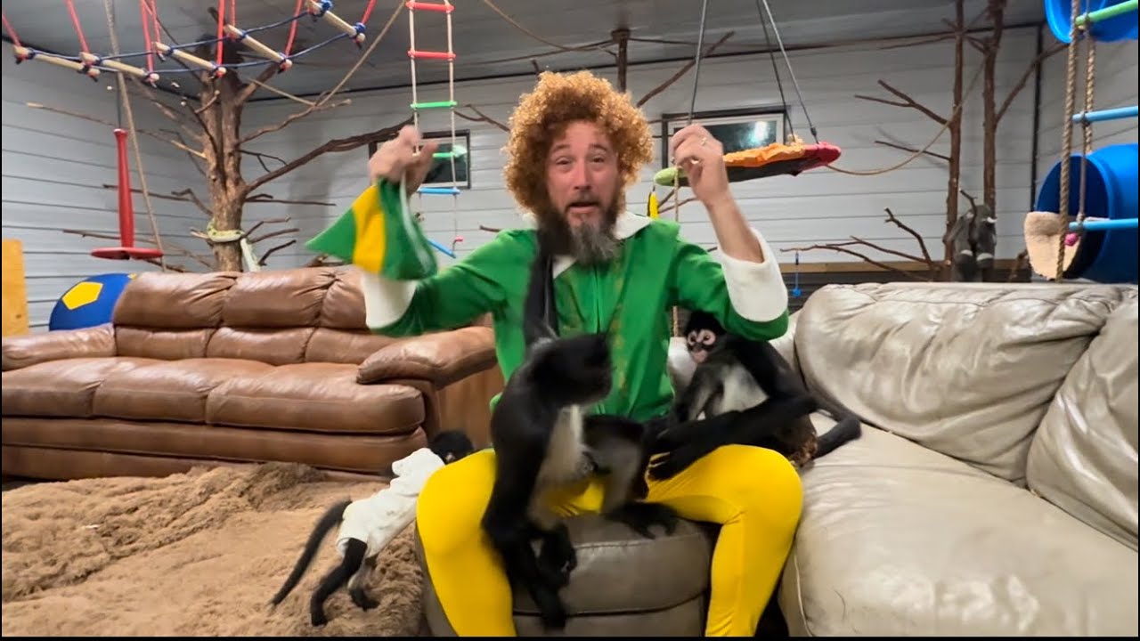 Monkey chaos with Buddy the elf 🤣