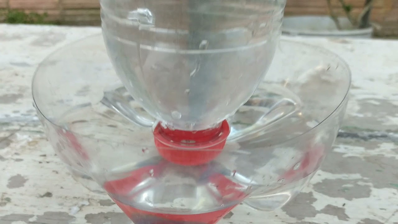 COMO FAZER UM BEBEDOURO PARA CODORNAS COM GARRAFA PET?